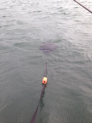 hideup 永野総一朗 ブログ写真 2015/05/14