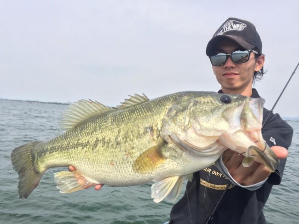 hideup 永野総一朗 ブログ写真 2017/05/22