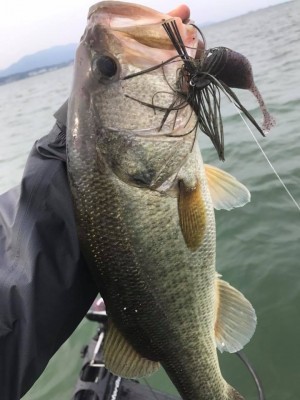 hideup 永野総一朗 ブログ写真 2017/06/22