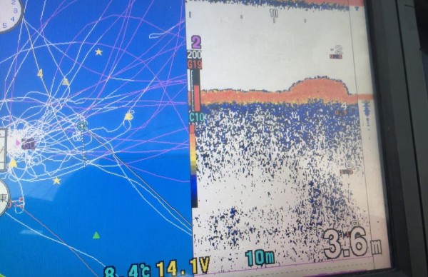 hideup 永野総一朗 ブログ写真 2017/03/13