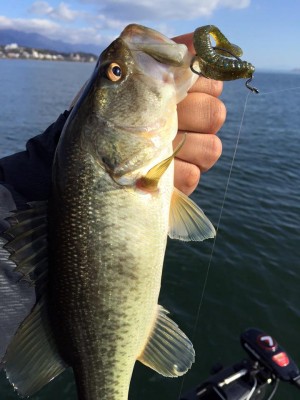 hideup 永野総一朗 ブログ写真 2016/03/11