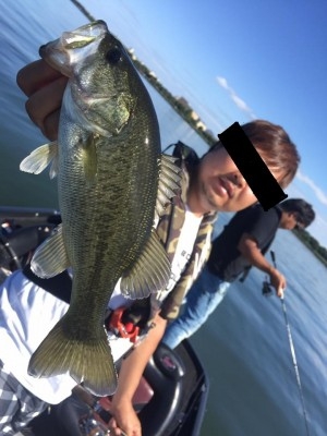 hideup 豌ｸ驥守ｷ丈ｸ譛� 繝悶Ο繧ｰ蜀咏悄 2016/10/10