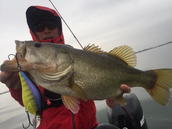 hideup 豌ｸ驥守ｷ丈ｸ譛� 繝悶Ο繧ｰ蜀咏悄 2016/11/09