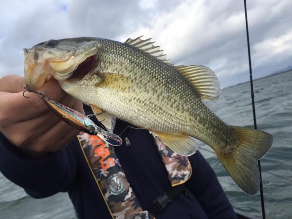 hideup 永野総一朗 ブログ写真 2016/11/01