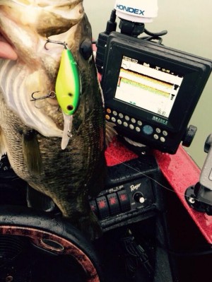 hideup 永野総一朗 ブログ写真 2015/04/06