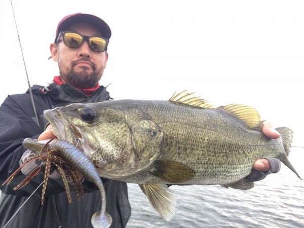 hideup 永野総一朗 ブログ写真 2016/10/11