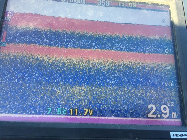 hideup 豌ｸ驥守ｷ丈ｸ譛� 繝悶Ο繧ｰ蜀咏悄 2016/12/25