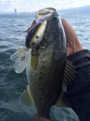 hideup 永野総一朗 ブログ写真 2015/10/08