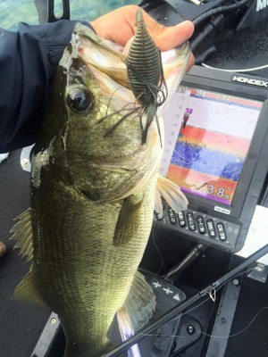 hideup 永野総一朗 ブログ写真 2016/09/05