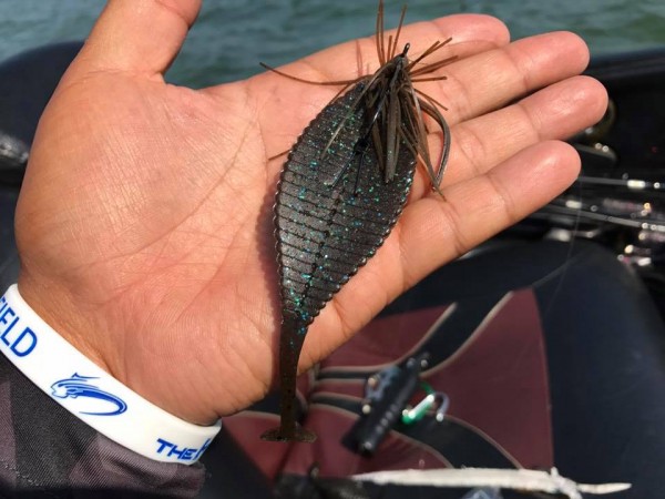 hideup 永野総一朗 ブログ写真 2017/06/20