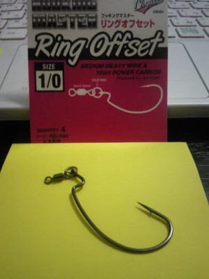 hideup 永野総一朗 ブログ写真 2015/06/20