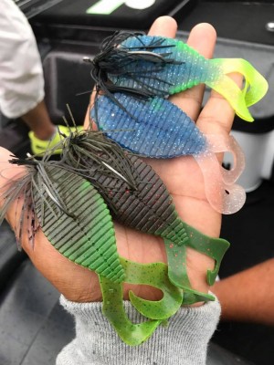 hideup 永野総一朗 ブログ写真 2017/09/05