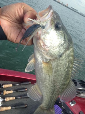 hideup 永野総一朗 ブログ写真 2014/11/06