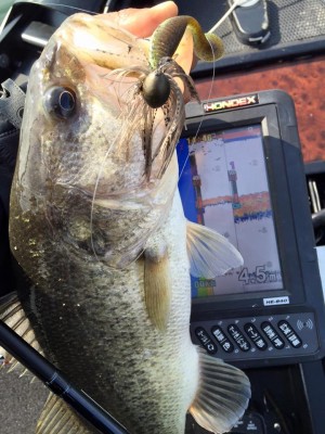 hideup 永野総一朗 ブログ写真 2016/04/01
