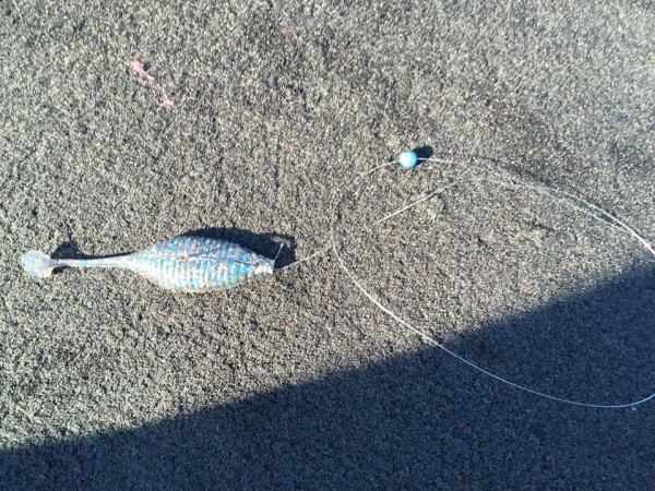 hideup 永野総一朗 ブログ写真 2016/07/29