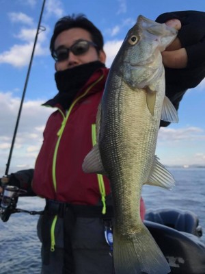 hideup 永野総一朗 ブログ写真 2017/12/02