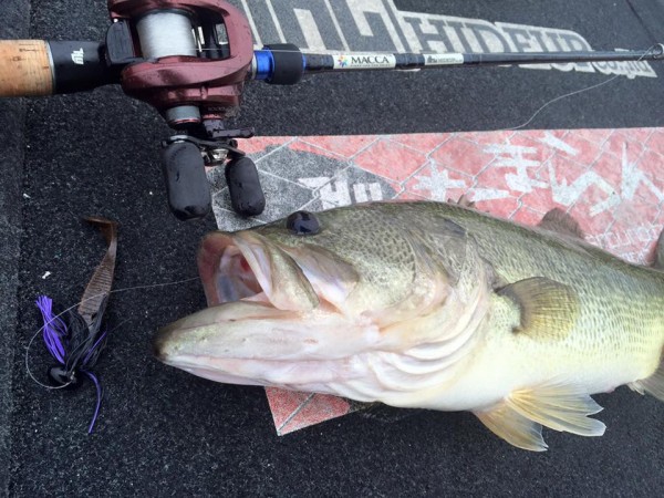 hideup 永野総一朗 ブログ写真 2015/11/18