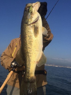 hideup 永野総一朗 ブログ写真 2016/11/05