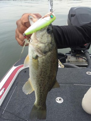 hideup 永野総一朗 ブログ写真 2015/07/03