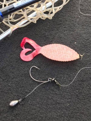 hideup 永野総一朗 ブログ写真 2017/08/20