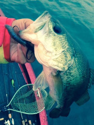 hideup 永野総一朗 ブログ写真 2015/06/12