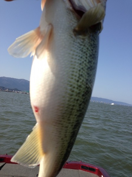 hideup 永野総一朗 ブログ写真 2013/04/08