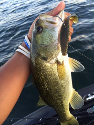 hideup 永野総一朗 ブログ写真 2016/08/07