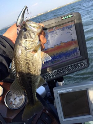 hideup 永野総一朗 ブログ写真 2016/05/04