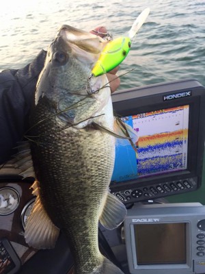 hideup 永野総一朗 ブログ写真 2016/02/28