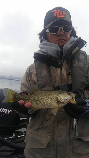 hideup 永野総一朗 ブログ写真 2017/02/09