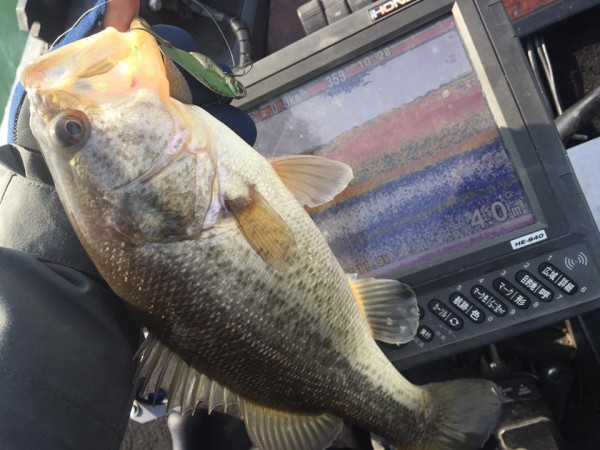 hideup 永野総一朗 ブログ写真 2017/01/22