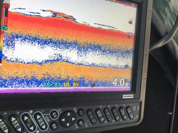 hideup 豌ｸ驥守ｷ丈ｸ譛� 繝悶Ο繧ｰ蜀咏悄 2017/11/06