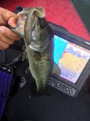 hideup 永野総一朗 ブログ写真 2015/07/23