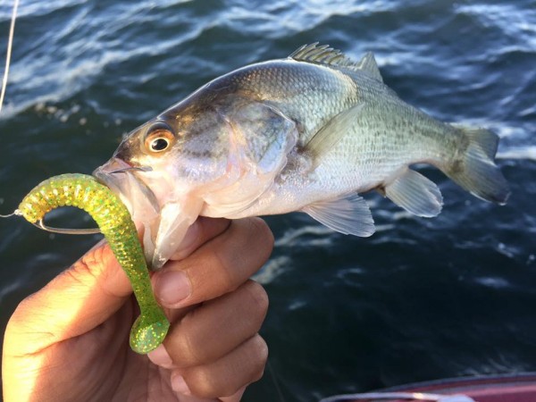 hideup 永野総一朗 ブログ写真 2015/11/11
