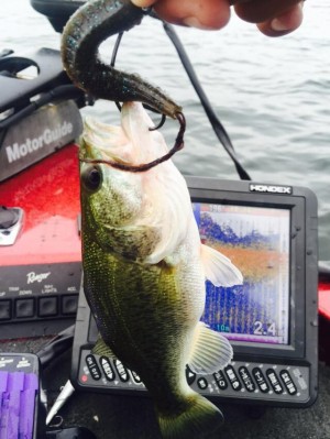 hideup 豌ｸ驥守ｷ丈ｸ譛� 繝悶Ο繧ｰ蜀咏悄 2015/07/09