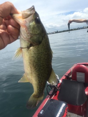 hideup 永野総一朗 ブログ写真 2015/08/06