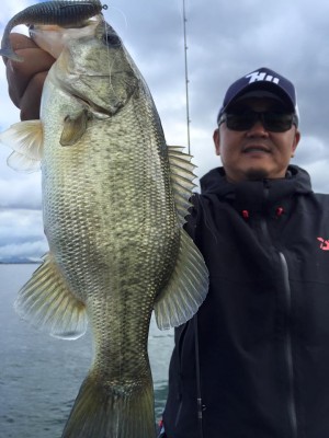 hideup 永野総一朗 ブログ写真 2015/11/15