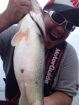 hideup 豌ｸ驥守ｷ丈ｸ譛� 繝悶Ο繧ｰ蜀咏悄 2014/08/14