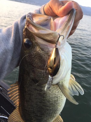 hideup 永野総一朗 ブログ写真 2016/11/12