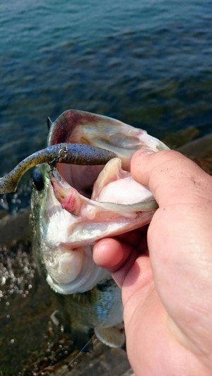 hideup 永野総一朗 ブログ写真 2016/05/23