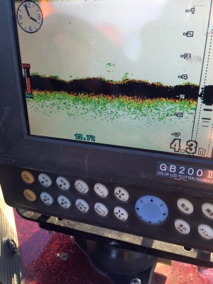 hideup 永野総一朗 ブログ写真 2015/12/17