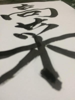 hideup 豌ｸ驥守ｷ丈ｸ譛� 繝悶Ο繧ｰ蜀咏悄 2017/01/06