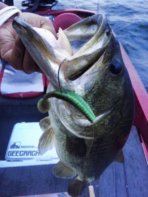 hideup 永野総一朗 ブログ写真 2015/09/05