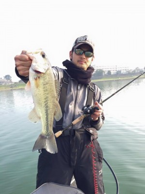 hideup 豌ｸ驥守ｷ丈ｸ譛� 繝悶Ο繧ｰ蜀咏悄 2016/01/04