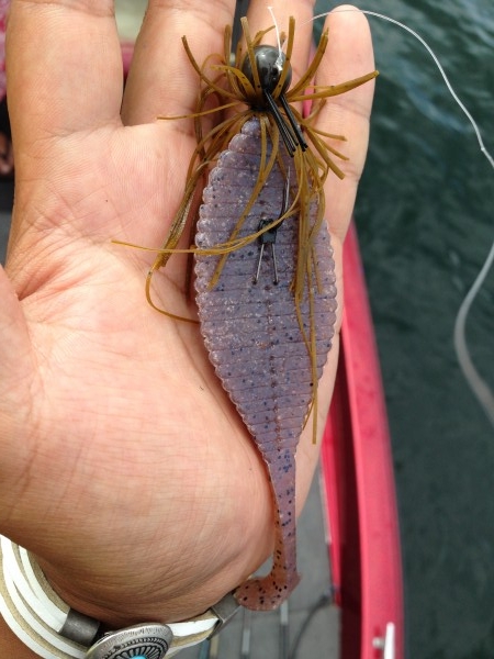 hideup 豌ｸ驥守ｷ丈ｸ譛� 繝悶Ο繧ｰ蜀咏悄 2014/07/14