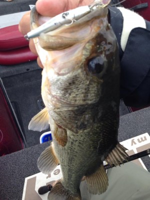 hideup 永野総一朗 ブログ写真 2014/11/13