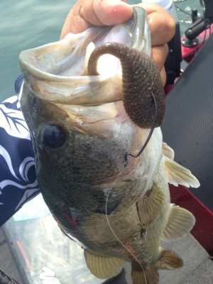 hideup 永野総一朗 ブログ写真 2015/05/28