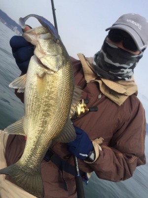 hideup 永野総一朗 ブログ写真 2017/03/26