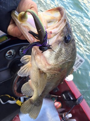 hideup 豌ｸ驥守ｷ丈ｸ譛� 繝悶Ο繧ｰ蜀咏悄 2015/11/28