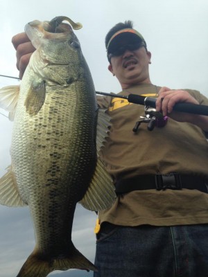 hideup 永野総一朗 ブログ写真 2015/06/09